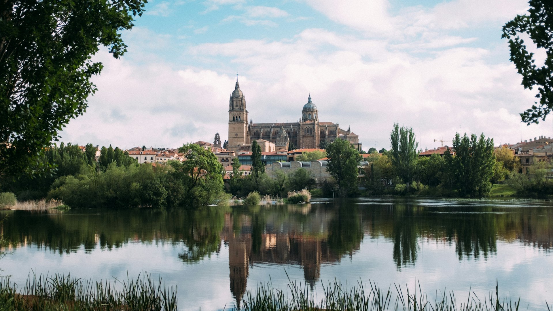 Salamanca cathedral and river at golden hour